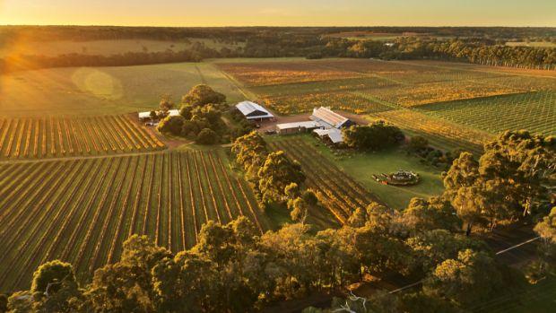 Cullen Wines - Image 2